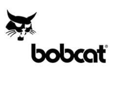 bobcat